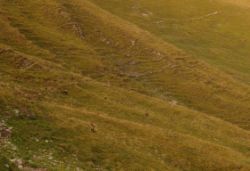 2013-09-22_Bleispitze (395)b.JPG